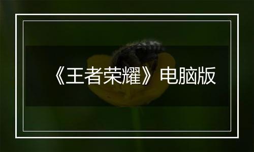 《王者荣耀》电脑版