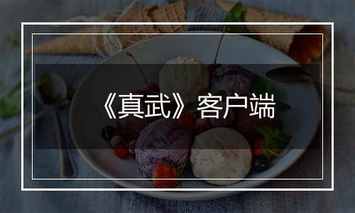 《真武》客户端