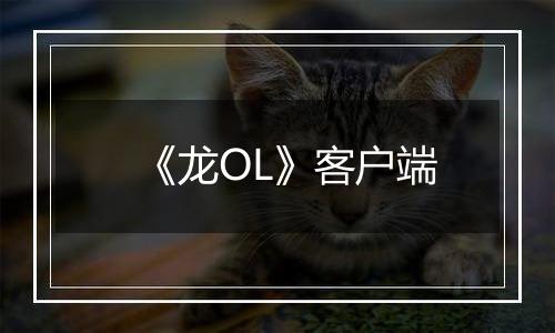 《龙OL》客户端
