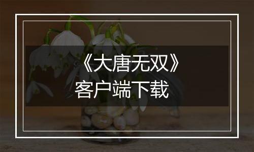 《大唐无双》客户端下载