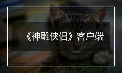 《神雕侠侣》客户端