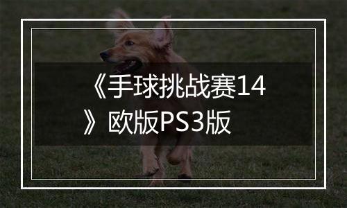 《手球挑战赛14》欧版PS3版