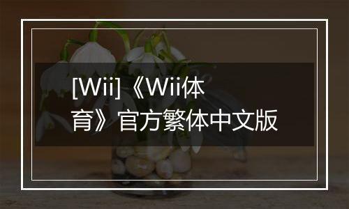 [Wii]《Wii体育》官方繁体中文版