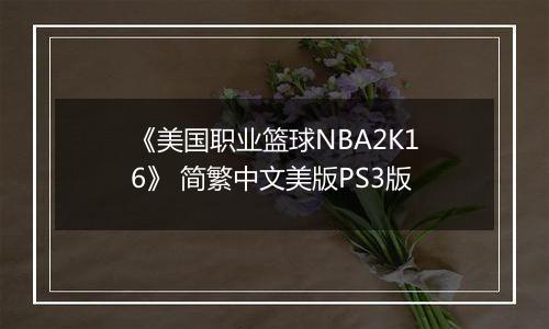 《美国职业篮球NBA2K16》 简繁中文美版PS3版