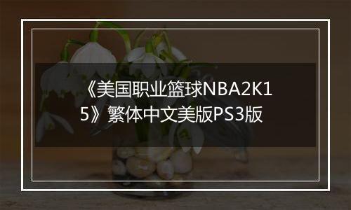 《美国职业篮球NBA2K15》繁体中文美版PS3版