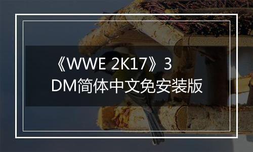 《WWE 2K17》3DM简体中文免安装版
