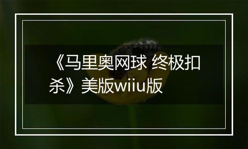《马里奥网球 终极扣杀》美版wiiu版