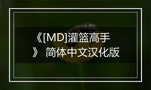 《[MD]灌篮高手》 简体中文汉化版