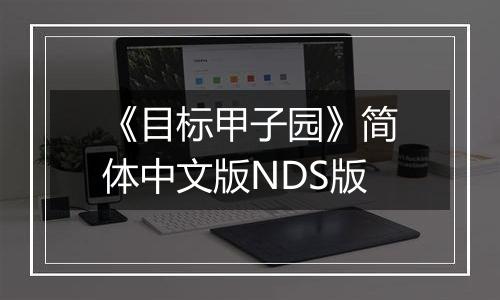 《目标甲子园》简体中文版NDS版