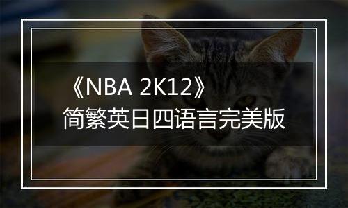 《NBA 2K12》简繁英日四语言完美版