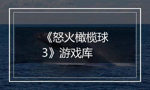 《怒火橄榄球3》游戏库