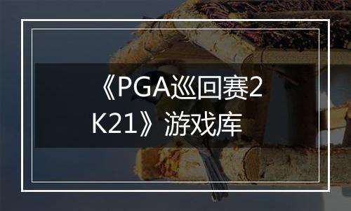 《PGA巡回赛2K21》游戏库