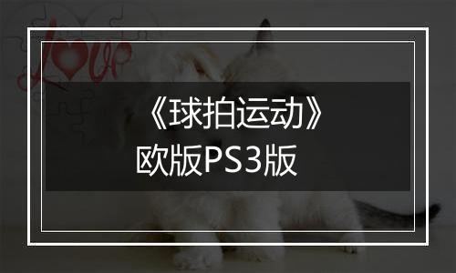 《球拍运动》欧版PS3版