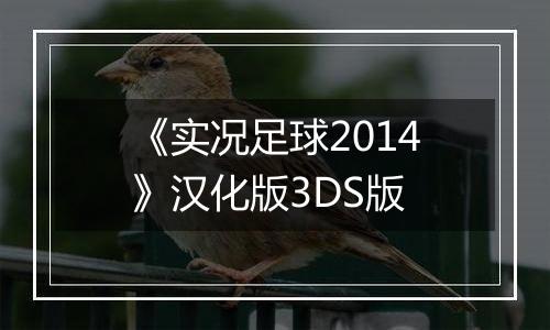 《实况足球2014》汉化版3DS版