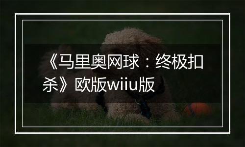《马里奥网球：终极扣杀》欧版wiiu版