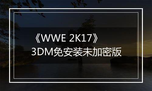 《WWE 2K17》3DM免安装未加密版