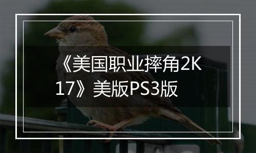 《美国职业摔角2K17》美版PS3版