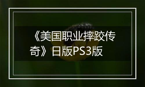 《美国职业摔跤传奇》日版PS3版