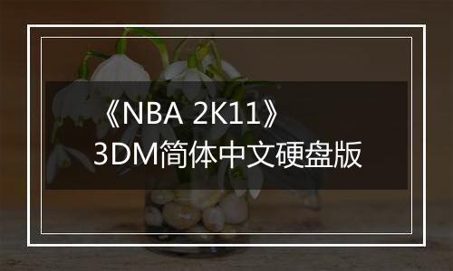 《NBA 2K11》3DM简体中文硬盘版