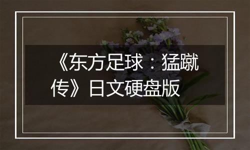 《东方足球：猛蹴传》日文硬盘版