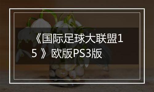 《国际足球大联盟15 》欧版PS3版