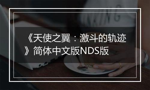 《天使之翼：激斗的轨迹》简体中文版NDS版