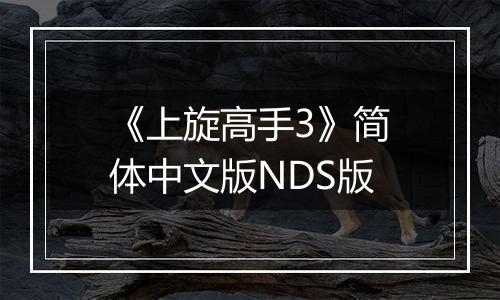 《上旋高手3》简体中文版NDS版