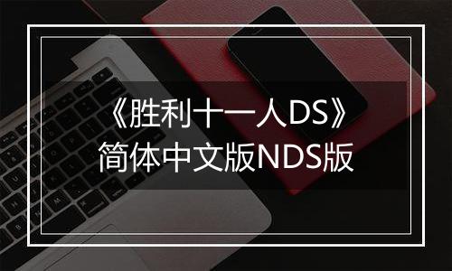 《胜利十一人DS》简体中文版NDS版