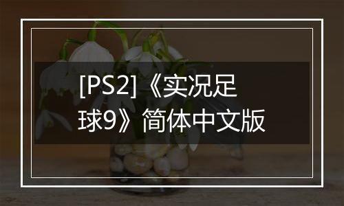 [PS2]《实况足球9》简体中文版