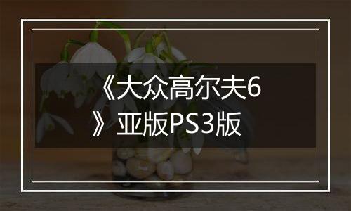 《大众高尔夫6》亚版PS3版