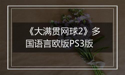 《大满贯网球2》多国语言欧版PS3版