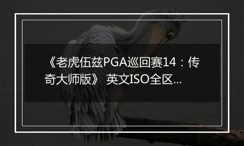 《老虎伍兹PGA巡回赛14:传奇大师版》 英文ISO全区版XBOX360版