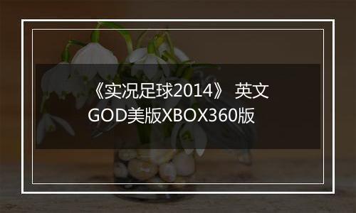 《实况足球2014》 英文GOD美版XBOX360版
