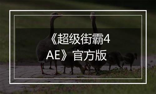 《超级街霸4AE》官方版