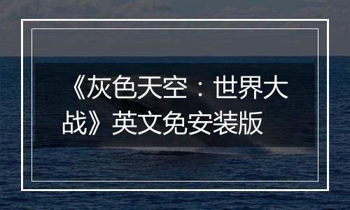 《灰色天空：世界大战》英文免安装版