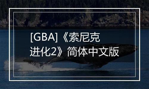 [GBA]《索尼克进化2》简体中文版