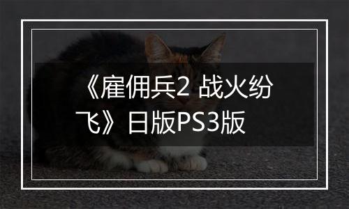 《雇佣兵2 战火纷飞》日版PS3版