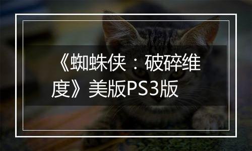 《蜘蛛侠：破碎维度》美版PS3版