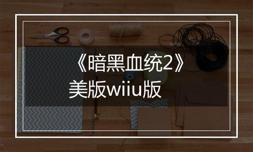 《暗黑血统2》美版wiiu版