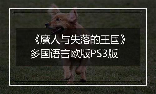 《魔人与失落的王国》多国语言欧版PS3版