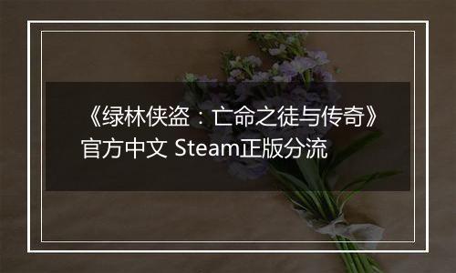 《绿林侠盗：亡命之徒与传奇》官方中文 Steam正版分流