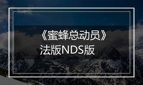 《蜜蜂总动员》 法版NDS版