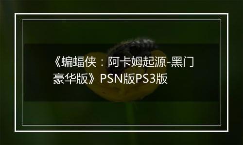 《蝙蝠侠：阿卡姆起源-黑门 豪华版》PSN版PS3版