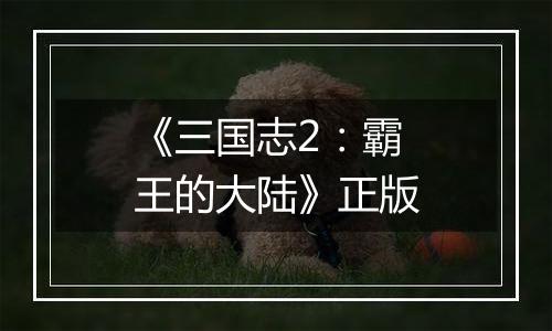《三国志2：霸王的大陆》正版