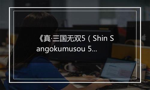 《真·三国无双5（Shin Sangokumusou 5）》