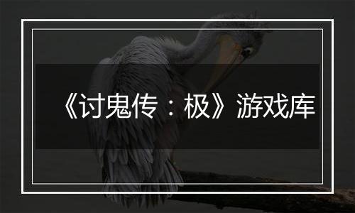 《讨鬼传：极》游戏库