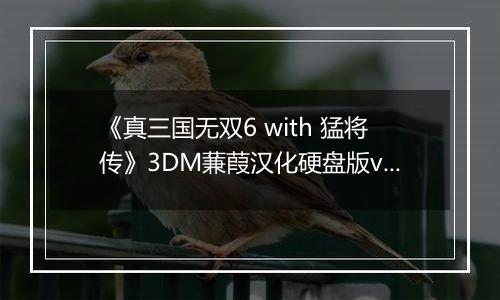 《真三国无双6 with 猛将传》3DM蒹葭汉化硬盘版v1.0
