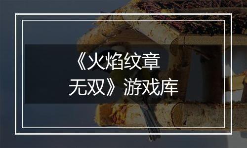 《火焰纹章 无双》游戏库