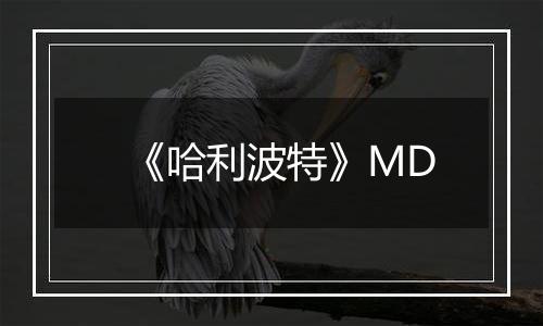 《哈利波特》MD