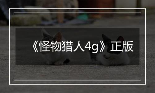 《怪物猎人4g》正版